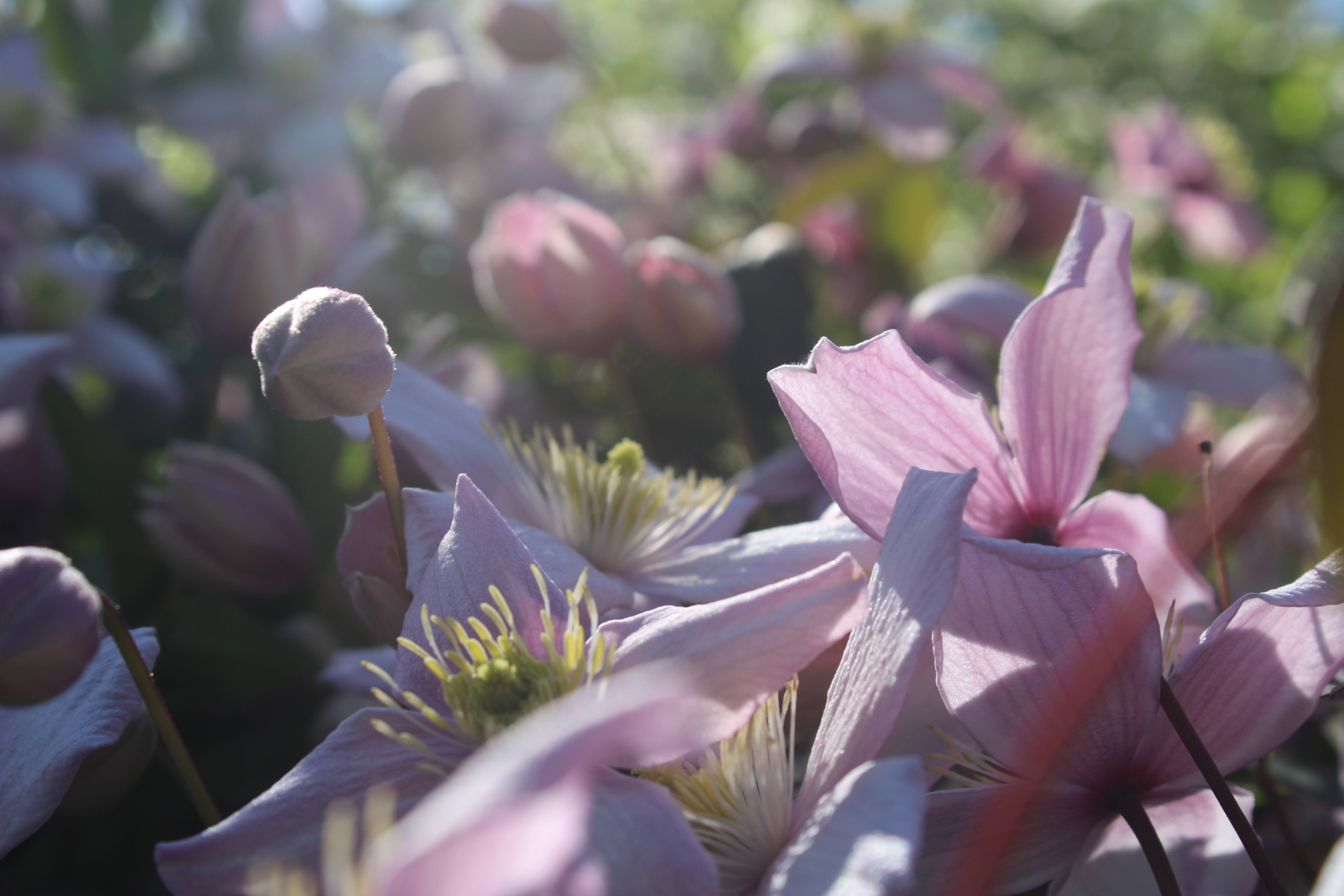 Photography 2