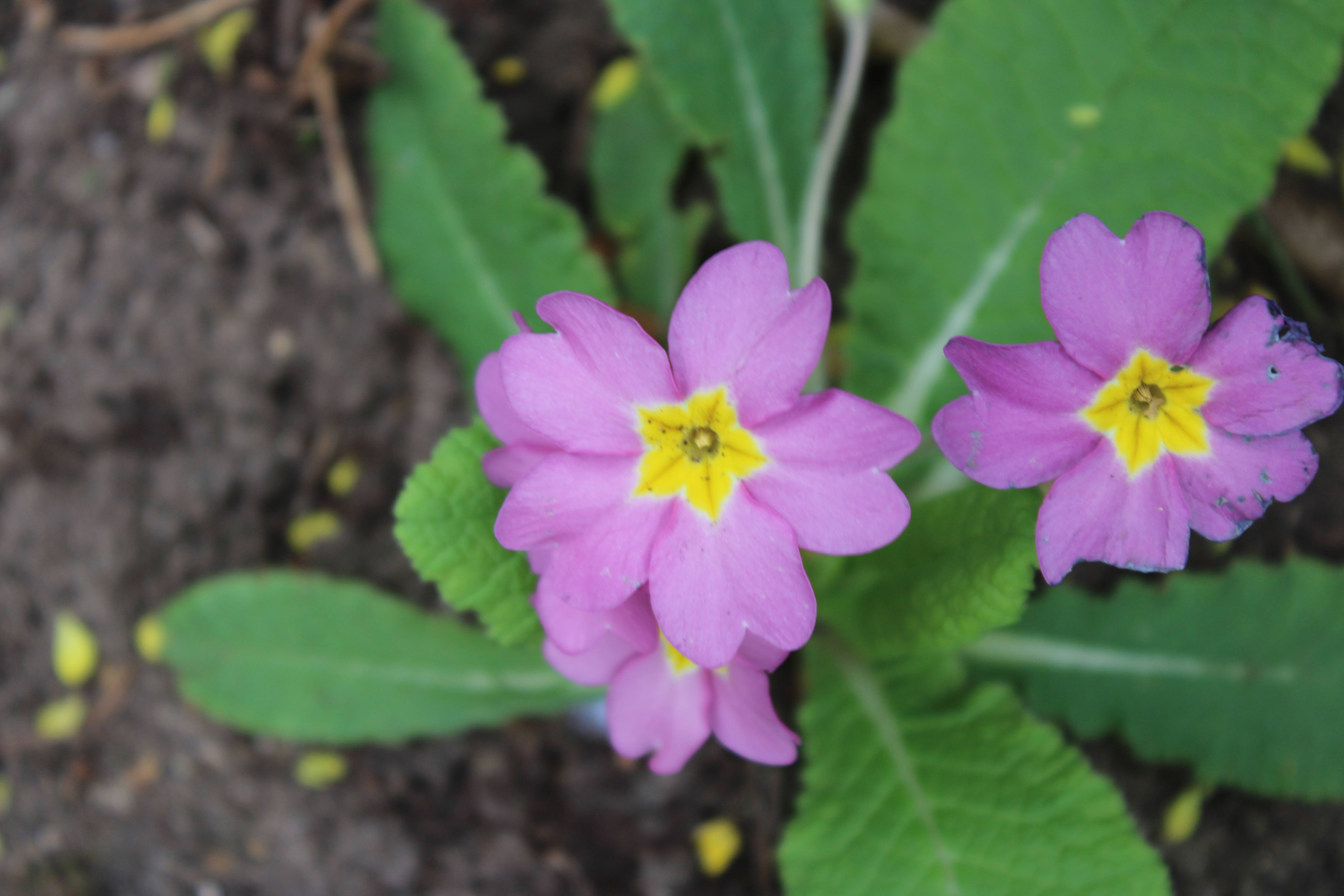 Photography 4