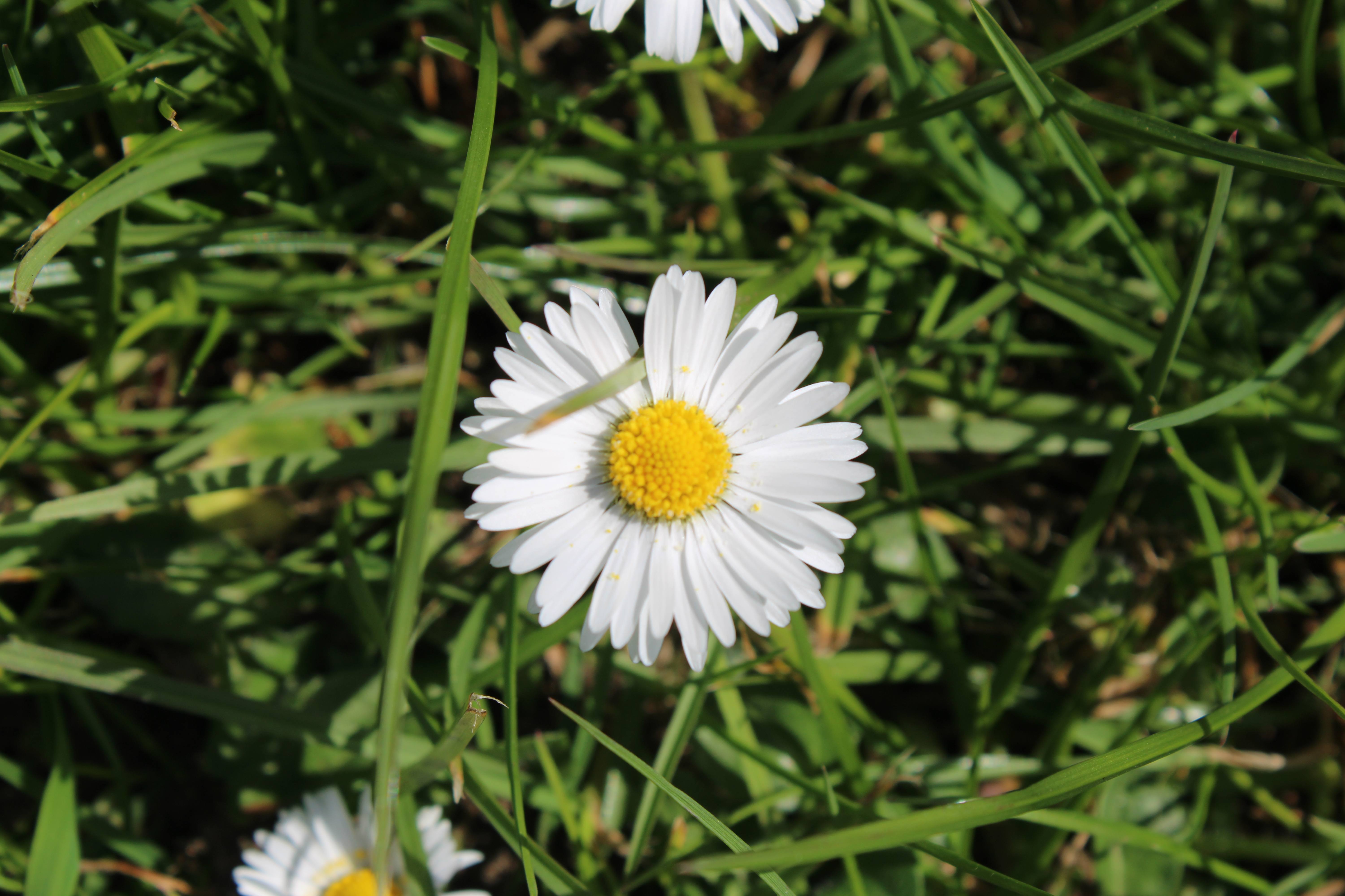 Photography 6