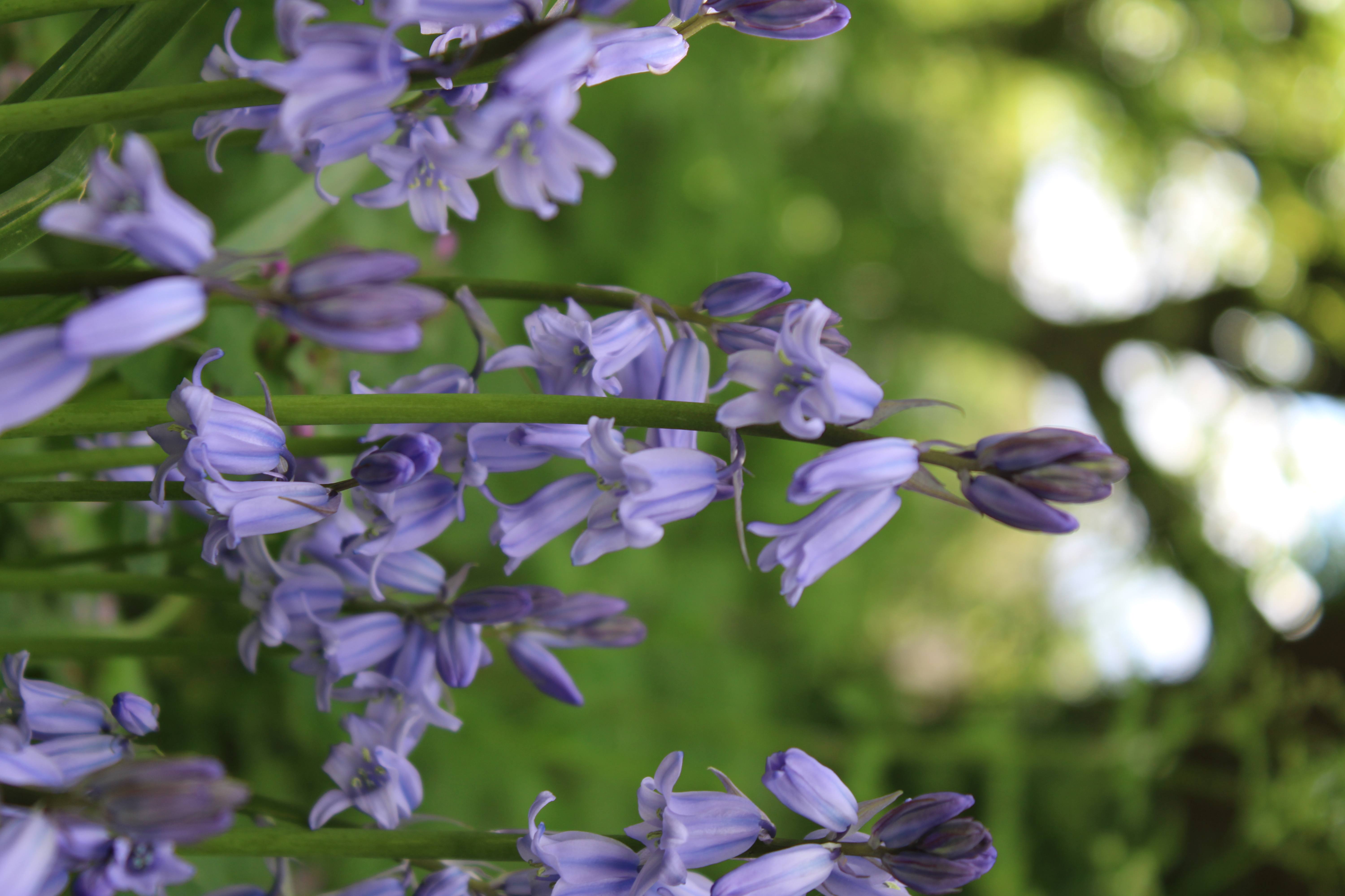 Photography 7