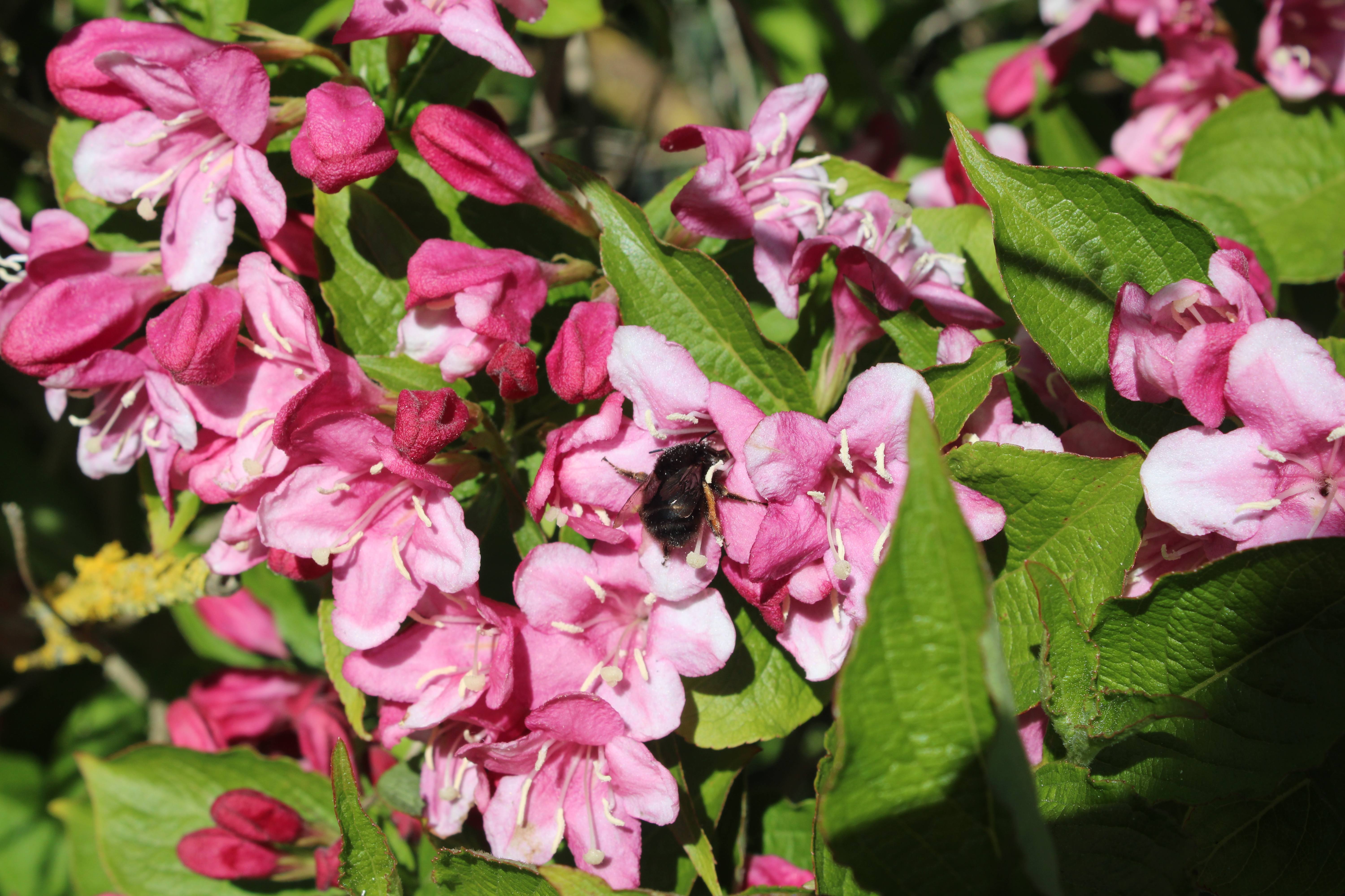 Photography 11